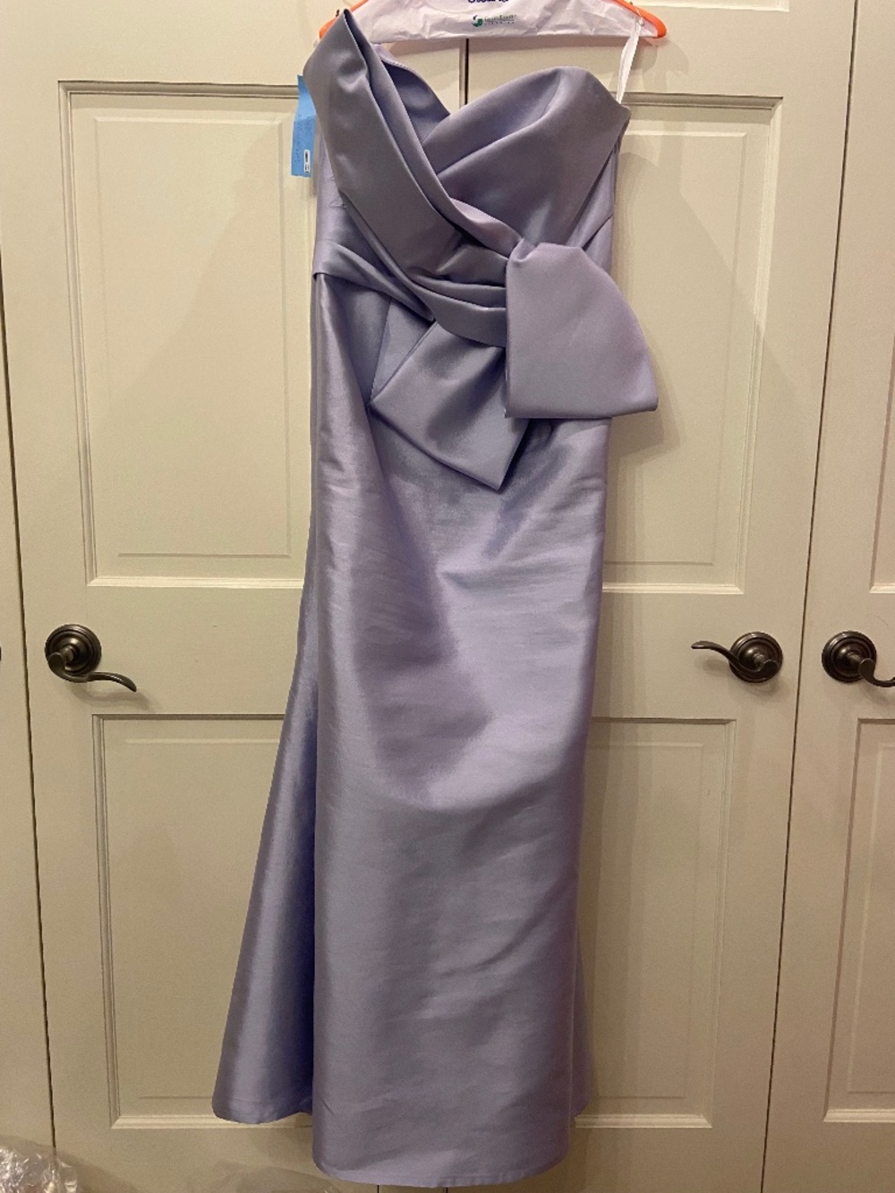 Frascara Gown